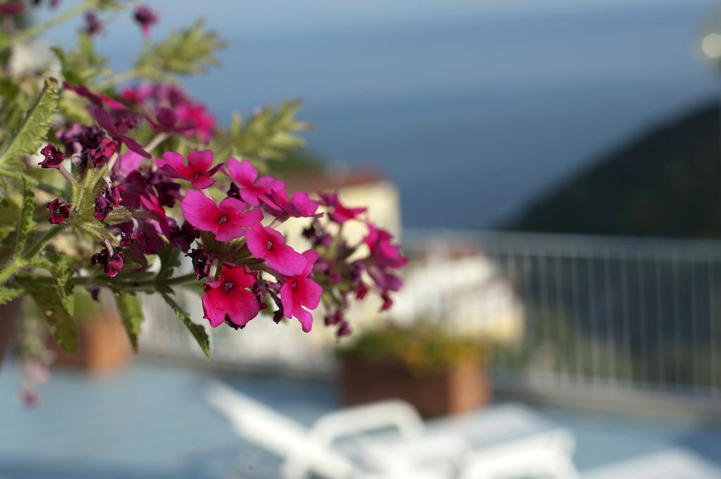 Le Terrazze Di Cristina Bed & Breakfast Vietri Exterior foto