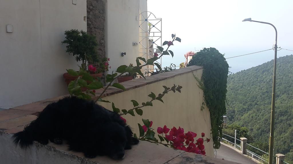 Le Terrazze Di Cristina Bed & Breakfast Vietri Exterior foto