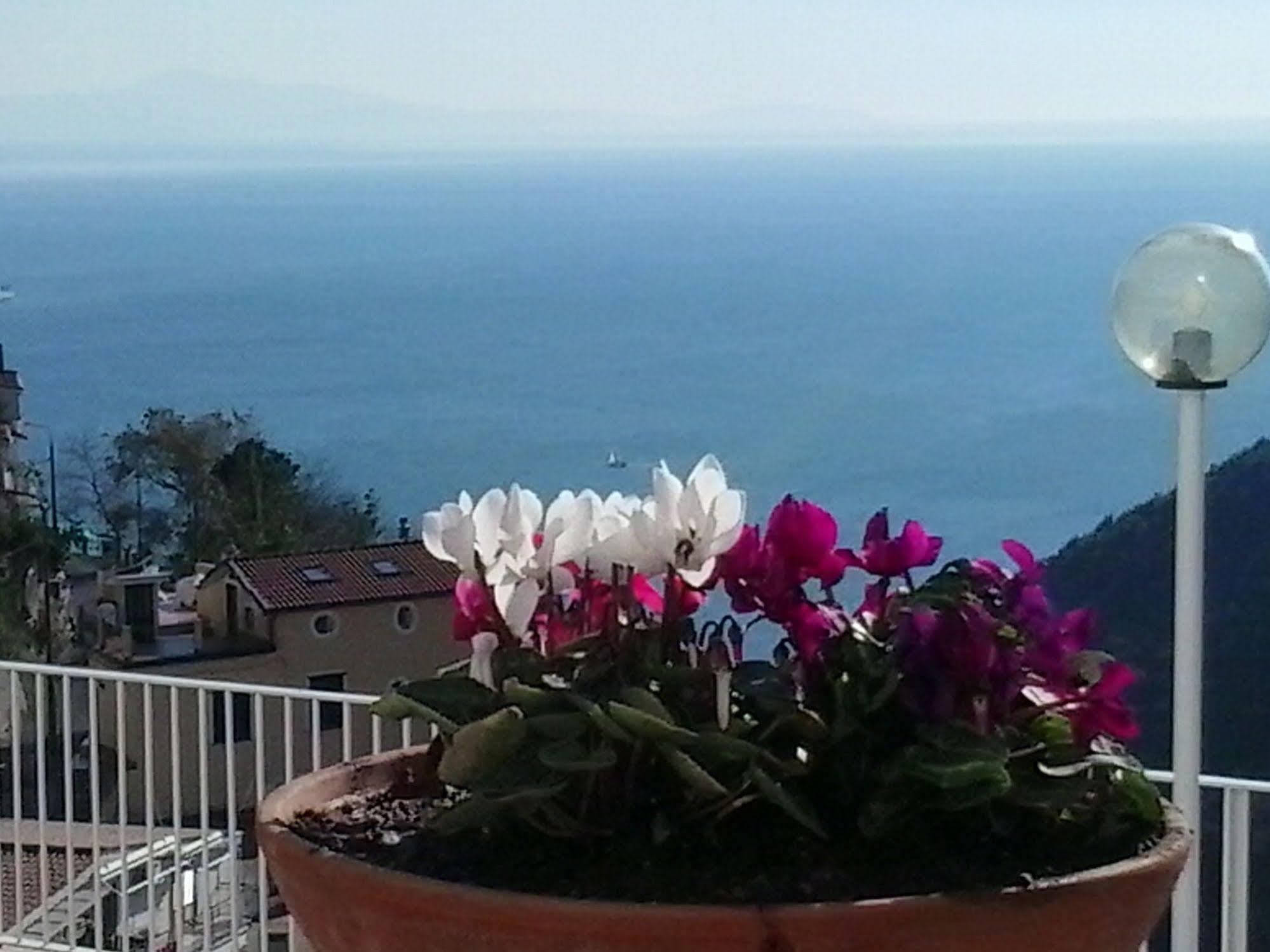 Le Terrazze Di Cristina Bed & Breakfast Vietri Exterior foto