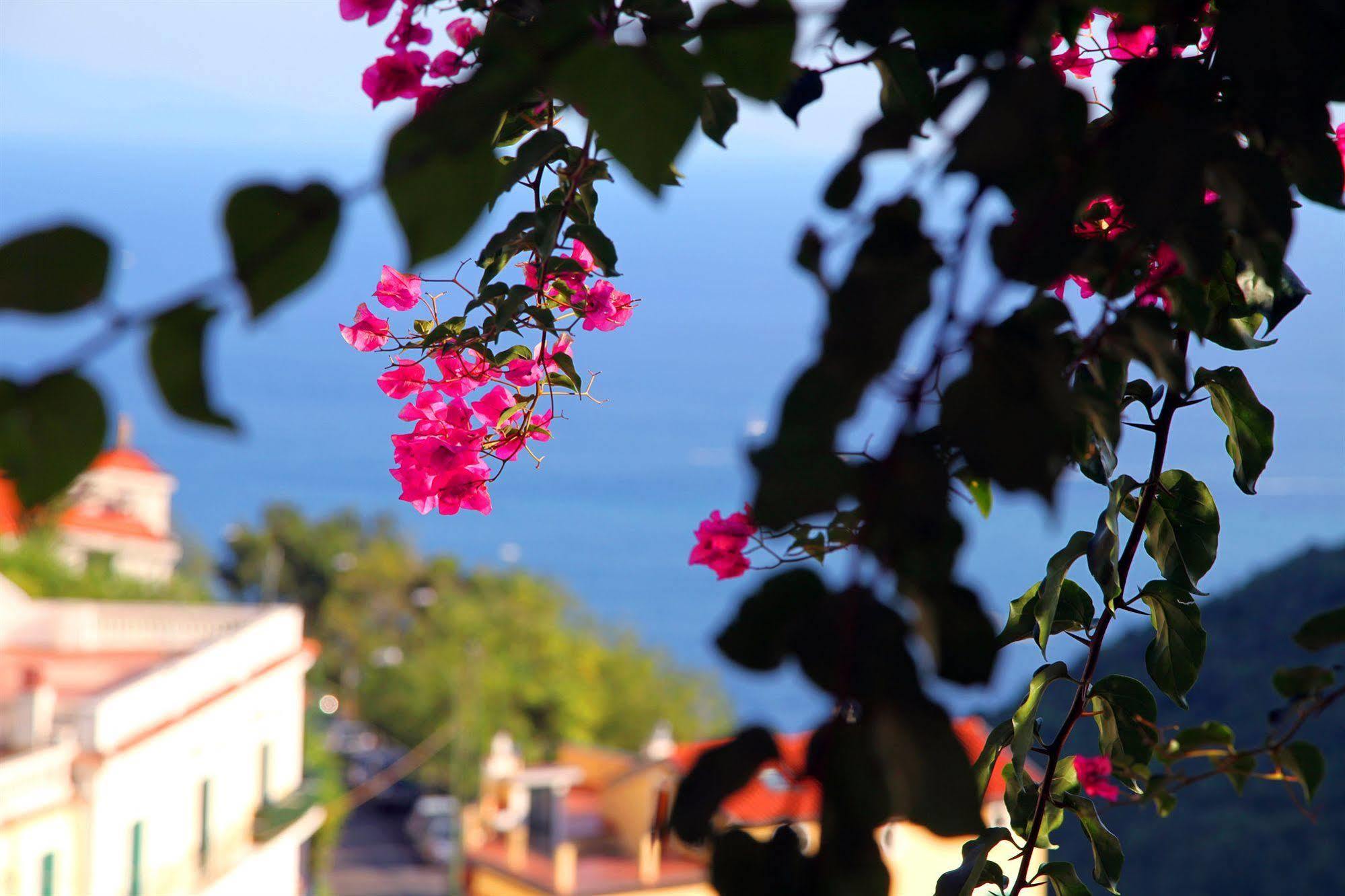 Le Terrazze Di Cristina Bed & Breakfast Vietri Exterior foto