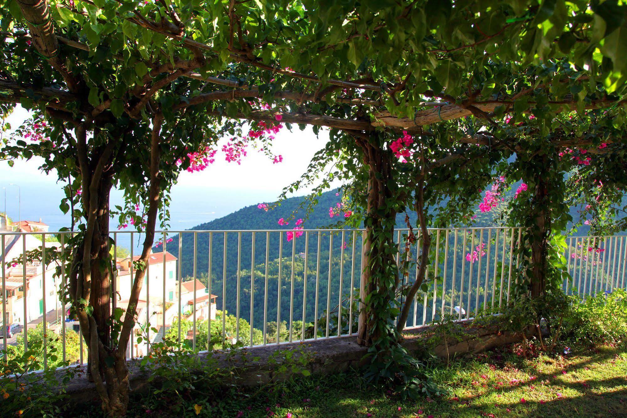 Le Terrazze Di Cristina Bed & Breakfast Vietri Exterior foto