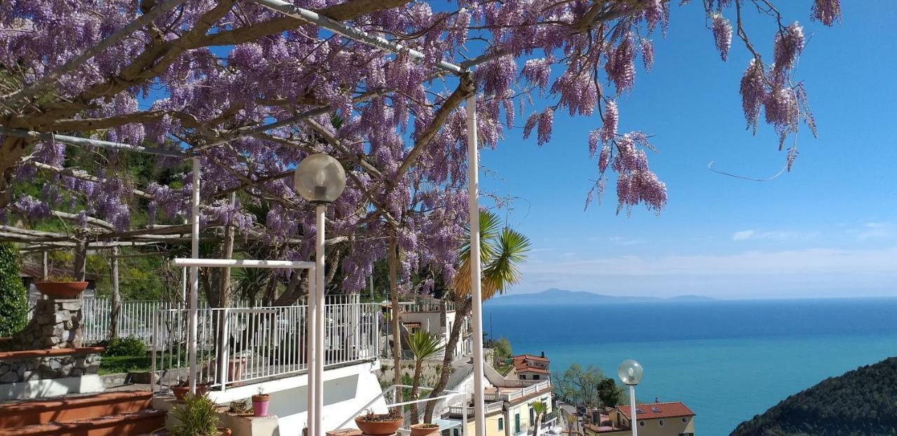 Le Terrazze Di Cristina Bed & Breakfast Vietri Exterior foto