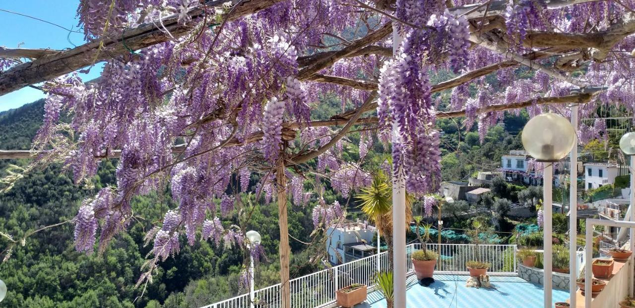 Le Terrazze Di Cristina Bed & Breakfast Vietri Exterior foto